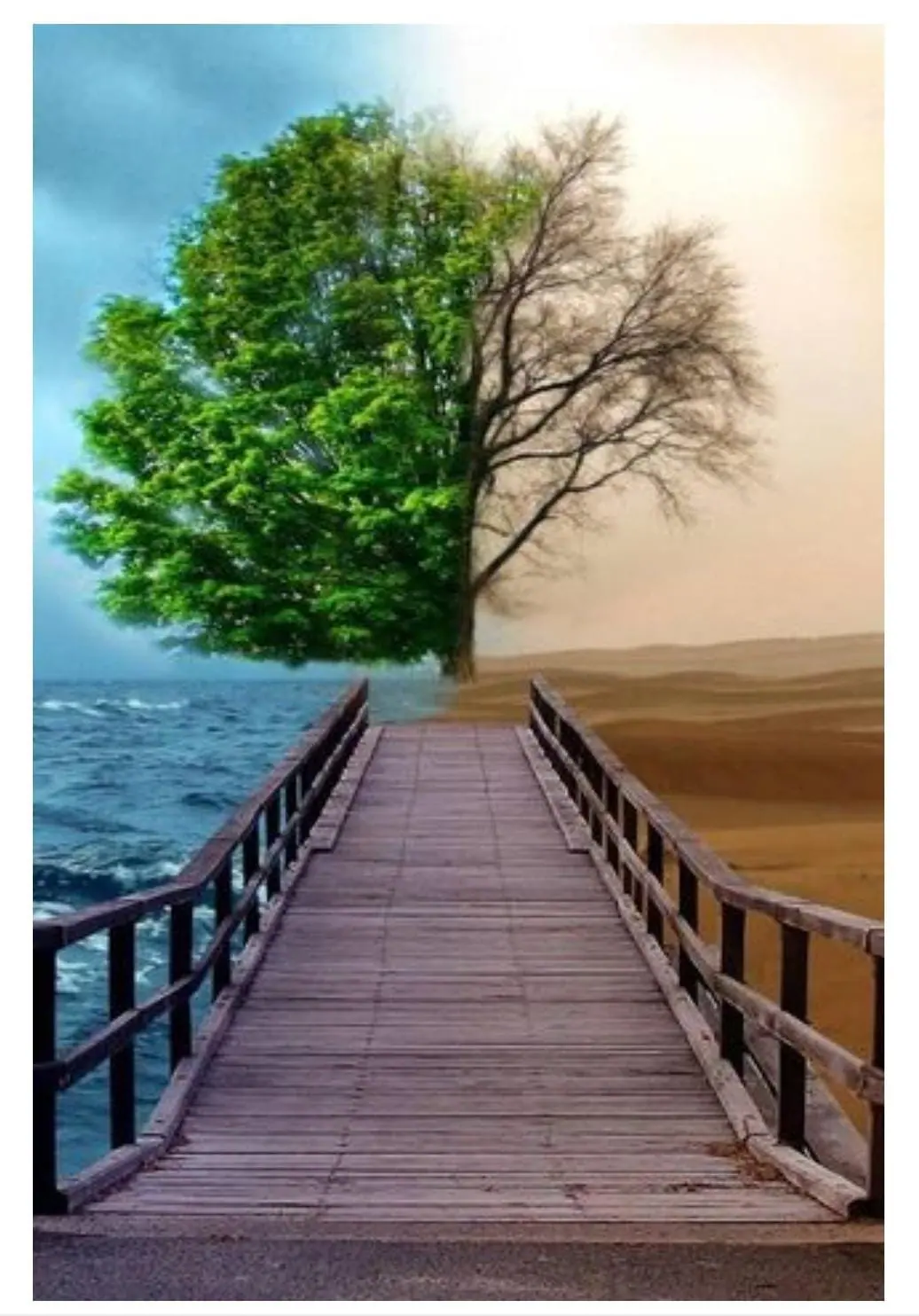 معالم الحلال والحرام