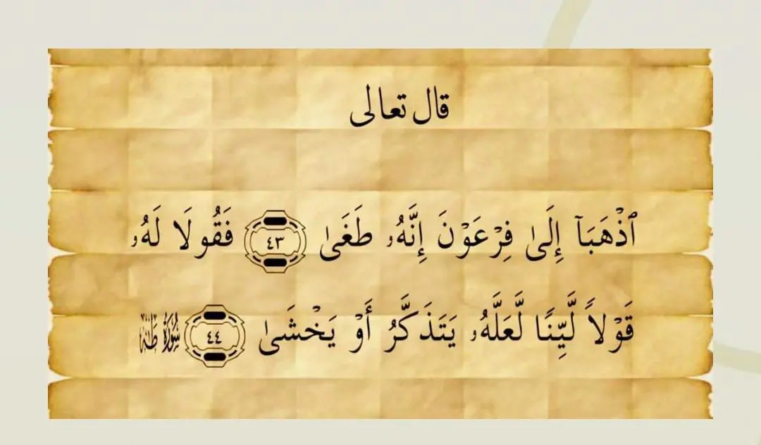 قوة الكلمة الليّنة: من هدي الرسالة إلى واقع الدعوة